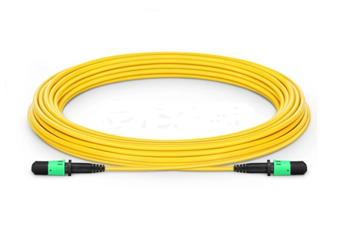 1m MPO Female 12 Fibers Type B OS2 Single Mode Elite Trunk Cable